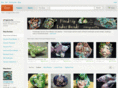 firedupladiesbeads.com