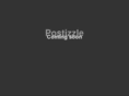 postizzle.com
