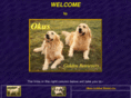 okusgoldens.com