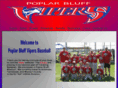 pbvipers.com