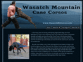 wasatchmtcorsos.com