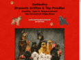 bgallantrybrusselsgriffon.com