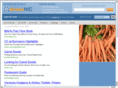 icarrot.com