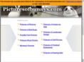 picturesofbunnys.com