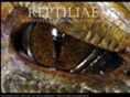 reptiliae.net