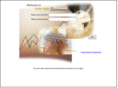 yp-ondemand.com