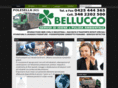 belluccospurghi.com