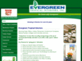 evergreenti.com