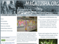 mrgalusha.org