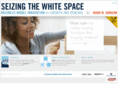 seizingthewhitespace.com