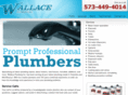 wallaceplumbinginc.com