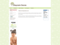 daycaregurus.com