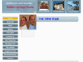 nashvilletwinteamrealtors.com