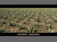 supernaturalaloe.com
