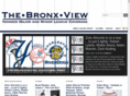 thebronxview.com