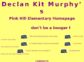 murphyforlenoir.com