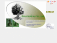 olivarmilenario.com