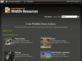 utahwildlifephotos.com