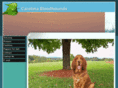 carolinabloodhounds.com