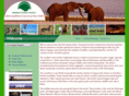 emeraldtanzania.com