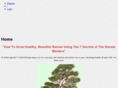 easybonsaigarden.com