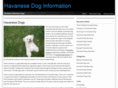 havanesedogsinformation.com