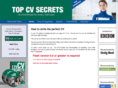 the-cv-experts.co.uk