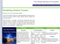 virtualteambuilders.com