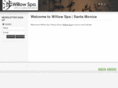 willowspa.net