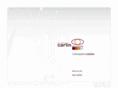 carlin-groupe.com