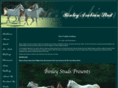 binleystud.com