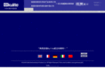 kulitesensors.com.cn