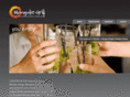 mongoliegrill.com