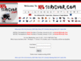 nflsurvivor.com