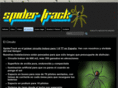 spidertrack.es