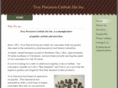 troyprecisioncarbidedie.com