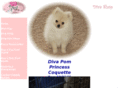 divapom.com