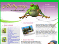 mollywogskids.com