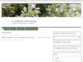 plumberslongisland.com