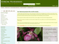 edromnurseries.co.uk
