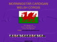 morningstarcardigans.com