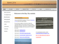 baycityneighbors.org