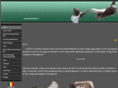 cherrycolouredpigeons.com