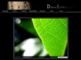 demistorm.com