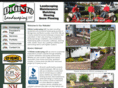 digintolandscapingllc.com