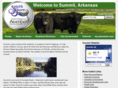 summitarkansas.com