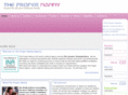 thepropernanny.com