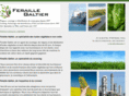 feraille-galtier.com