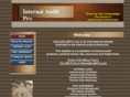 internalauditpro.com