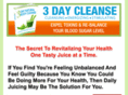 juicingforenergy.com